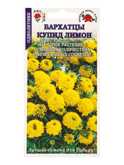 Семена Бархатцы «Купид Лимон», 0.1 г, прямостоячие, «Золотая Сотка Алтая»
