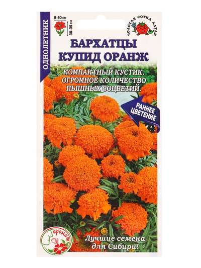 Семена Бархатцы «Купид Оранж», 0.1 г, прямостоячие, «Золотая Сотка Алтая»