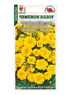 Семена Бархатцы «Чемпион йеллоу», 0.2 г, «Золотая Сотка Алтая» (комплект 3 шт) - фото 60870883