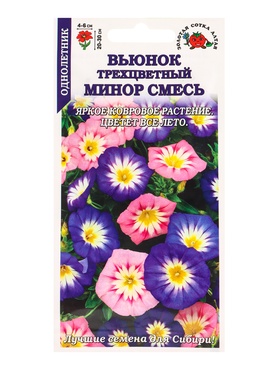 Семена Вьюнок «Минор», трехцветный, смесь, 0.5 г, «Золотая Сотка Алтая» (комплект 3 шт)