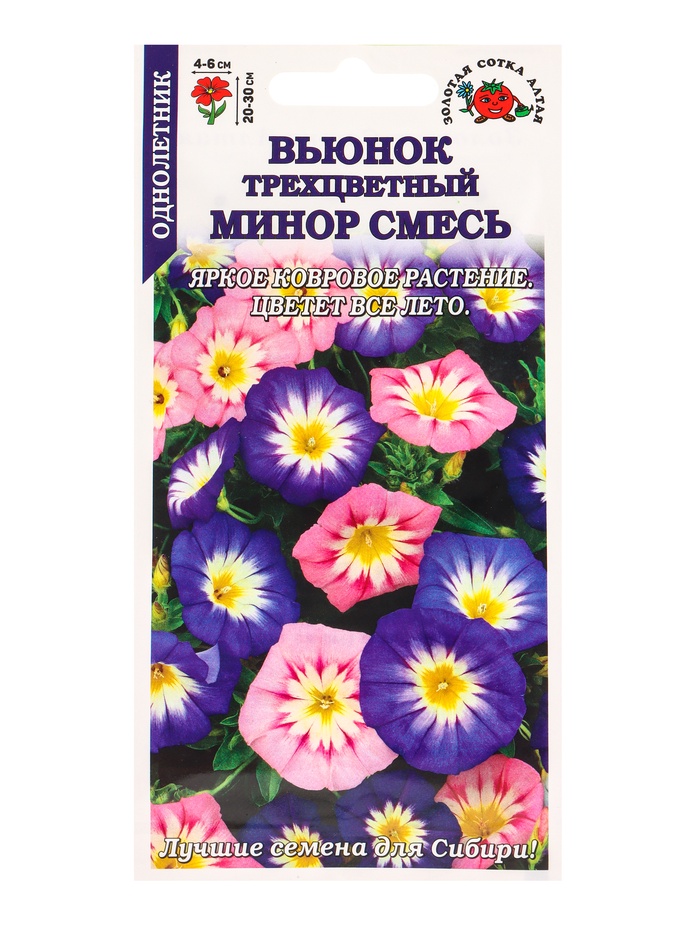 Семена Вьюнок «Минор», трехцветный, смесь, 0.5 г, «Золотая Сотка Алтая» - Фото 1