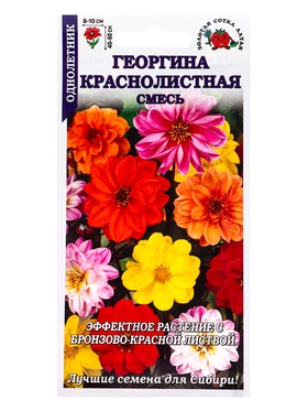 Семена Георгина «Краснолистная», смесь, 0.1 г, «Золотая Сотка Алтая» (комплект 3 шт)