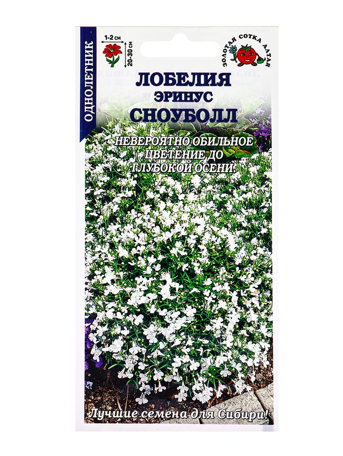 Семена Лобелия «Сноуболл эринус», 0.05 г, «Золотая Сотка Алтая» - Фото 1