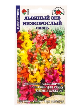 Семена цветов Львиный зев «Низкорослый», смесь, 0.1 г, «Золотая Сотка Алтая» (комплект 3 шт)