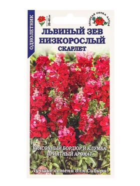 Семена Львиный зев Низкорослый скарлет /Сотка/ 0,1г/*1800 (комплект 3 шт)