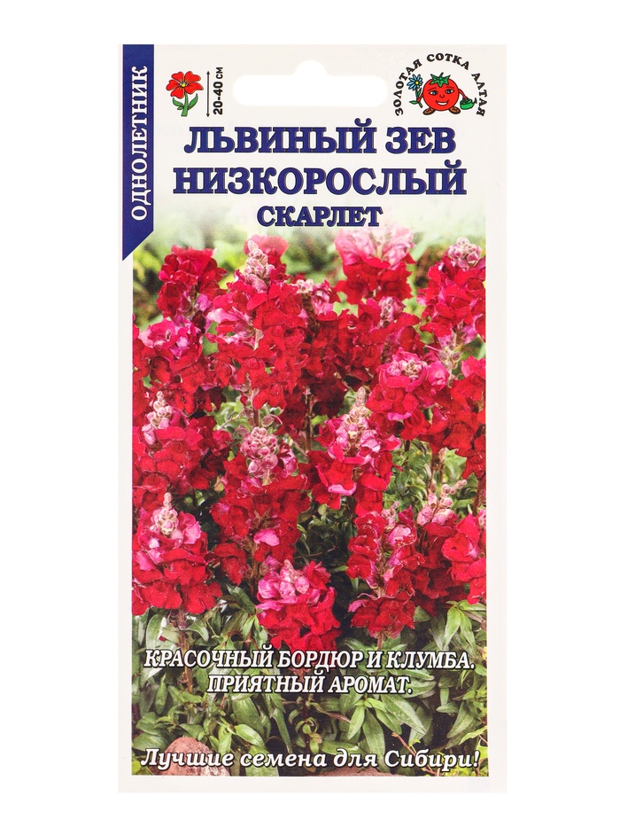 Семена Львиный зев Низкорослый скарлет /Сотка/ 0,1г/*1800 - Фото 1