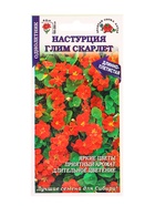 Семена Настурция «Глим Скарлет», 0.5 г, «Золотая Сотка Алтая» - фото 809307543