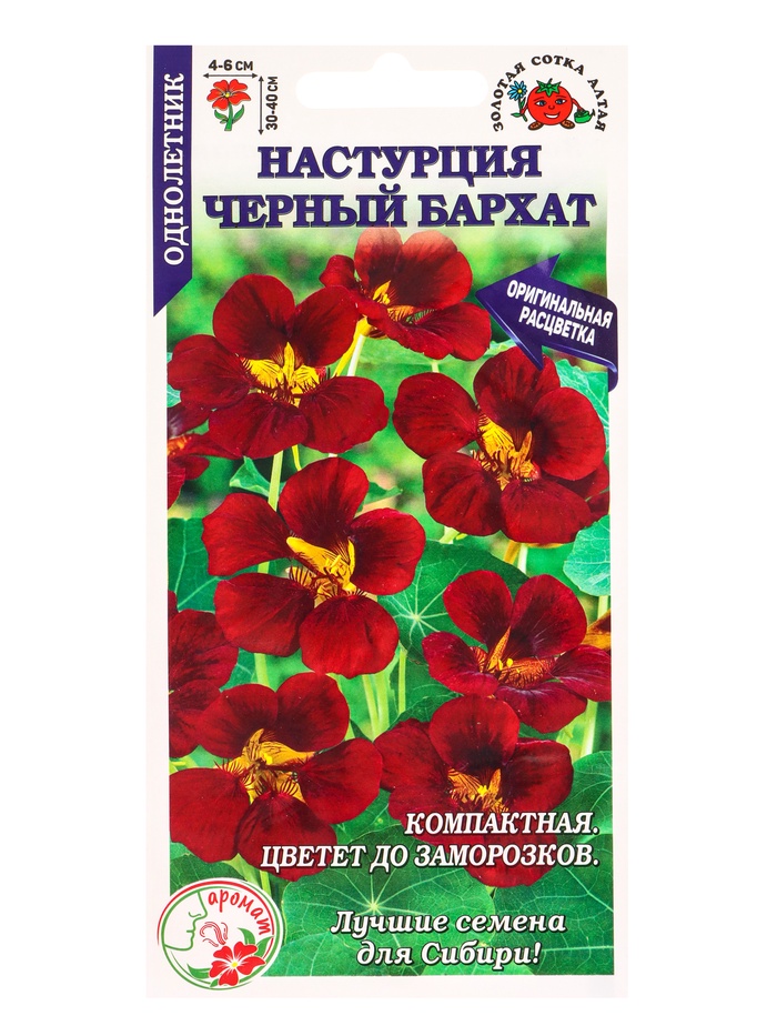 Семена Настурция «Черный бархат», 0.5 г, «Золотая Сотка Алтая» - Фото 1