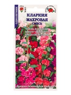 Семена Кларкия Махровая смесь, 0.2 г, «Золотая Сотка Алтая» - Фото 1