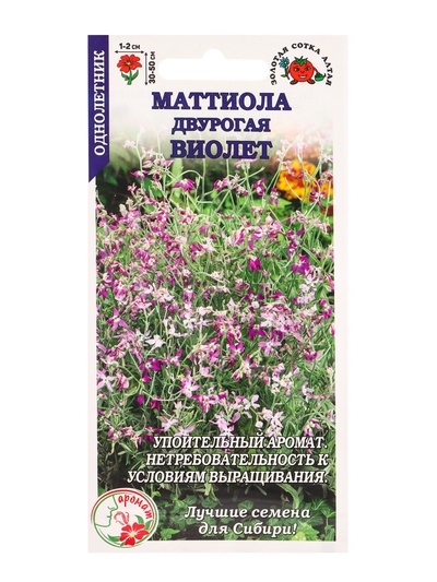 Семена Маттиола «Виолет», 0.5 г, «Золотая Сотка Алтая»