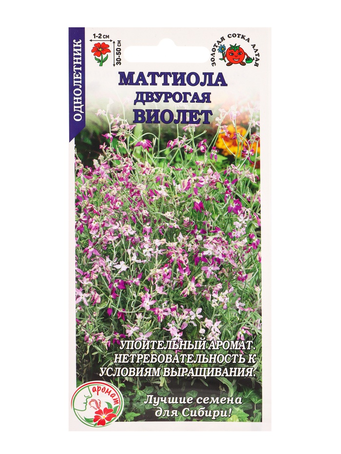 Семена Маттиола «Виолет», 0.5 г, «Золотая Сотка Алтая» - Фото 1