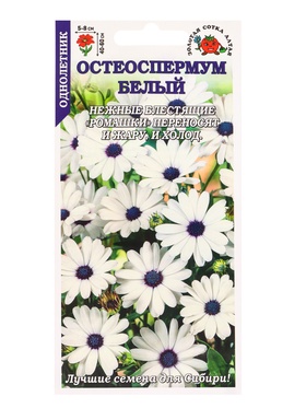 Семена Остеоспермум Белый /Сотка/ 0,1г/ h-60см, d-8см/*1200