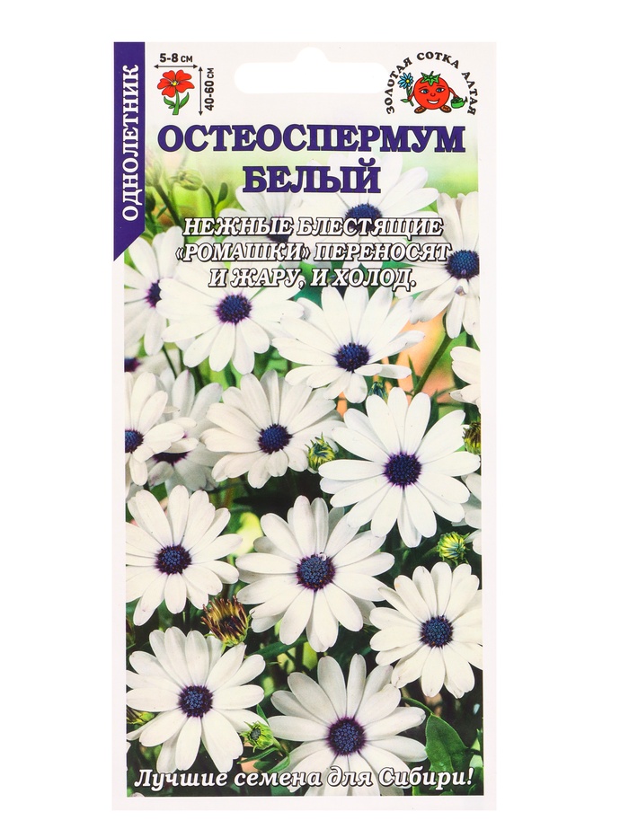 Семена Остеоспермум «Белый», 0.1 г, «Золотая Сотка Алтая» - Фото 1