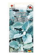 Семена Цинерария «Нью Лук», 10 шт., гранулы, «Золотая Сотка Алтая» селекция Benary - Фото 1
