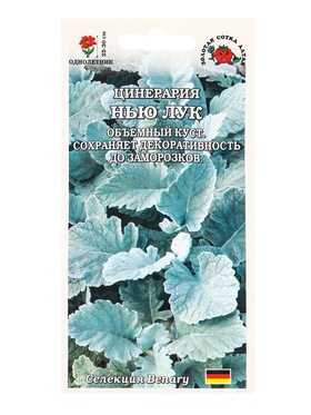 Семена Цинерария Нью Лук /Сотка/ 10шт/ гранулы h-30см Benary/*500 (комплект 2 шт)