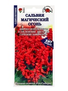 Семена Сальвия «Магический огонь», 0.1 г, «Золотая Сотка Алтая» - фото 809307597