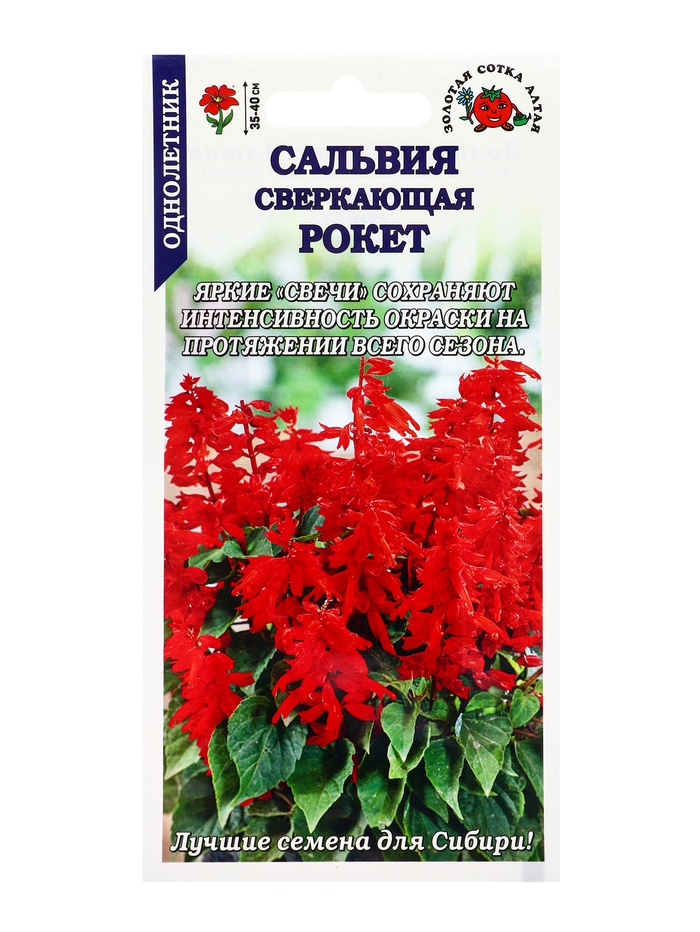 Семена Сальвия «Рокет сверкающая красная», 0.1 г, «Золотая Сотка Алтая» - Фото 1