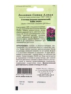 Семена Статица «Квис Роуз», 10 шт., «Золотая Сотка Алтая» - Фото 2