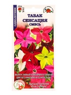 Семена Табак «Сенсация крылатый», 0.2 г, «Золотая Сотка Алтая» (комплект 3 шт) - фото 59848786