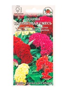 Семена Целозия «Карликовая», смесь, 0.1 г, «Золотая Сотка Алтая» - фото 809307629