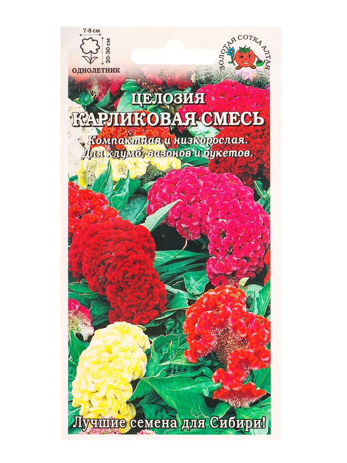 Семена Целозия «Карликовая», смесь, 0.1 г, «Золотая Сотка Алтая» - Фото 1
