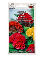 Семена Целозия «Чиф», 0.2 г, смесь, «Золотая Сотка Алтая» - фото 809307637