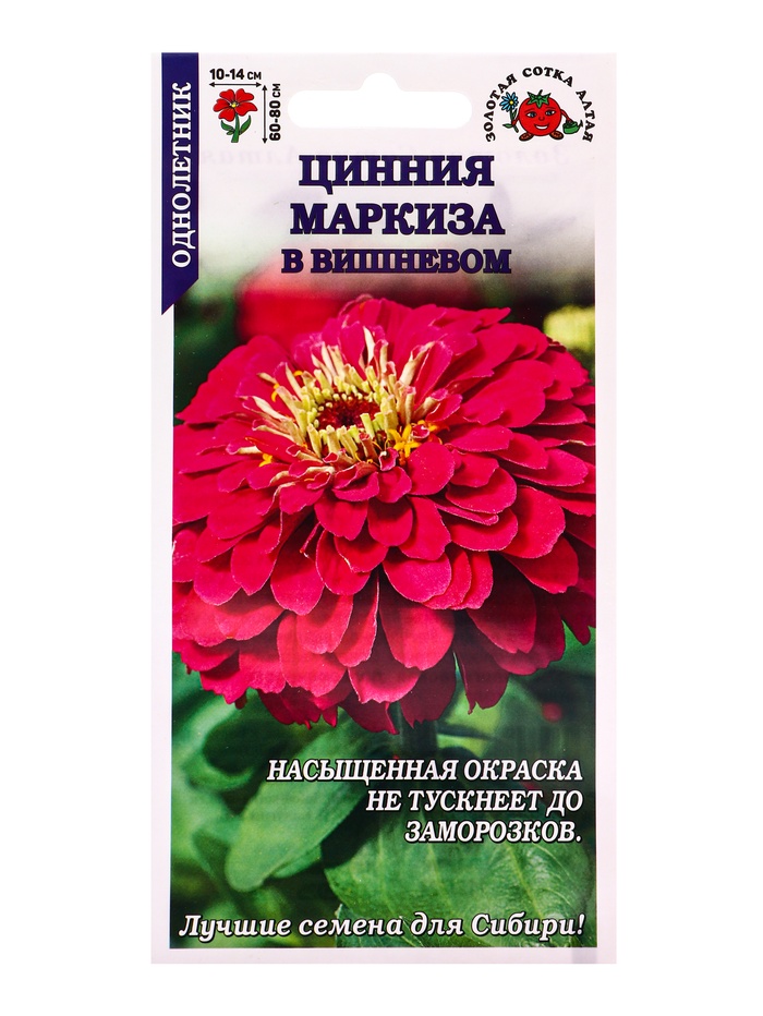 Семена Цинния «Маркиза в Вишневом», 0.2 г, «Золотая Сотка Алтая» - Фото 1