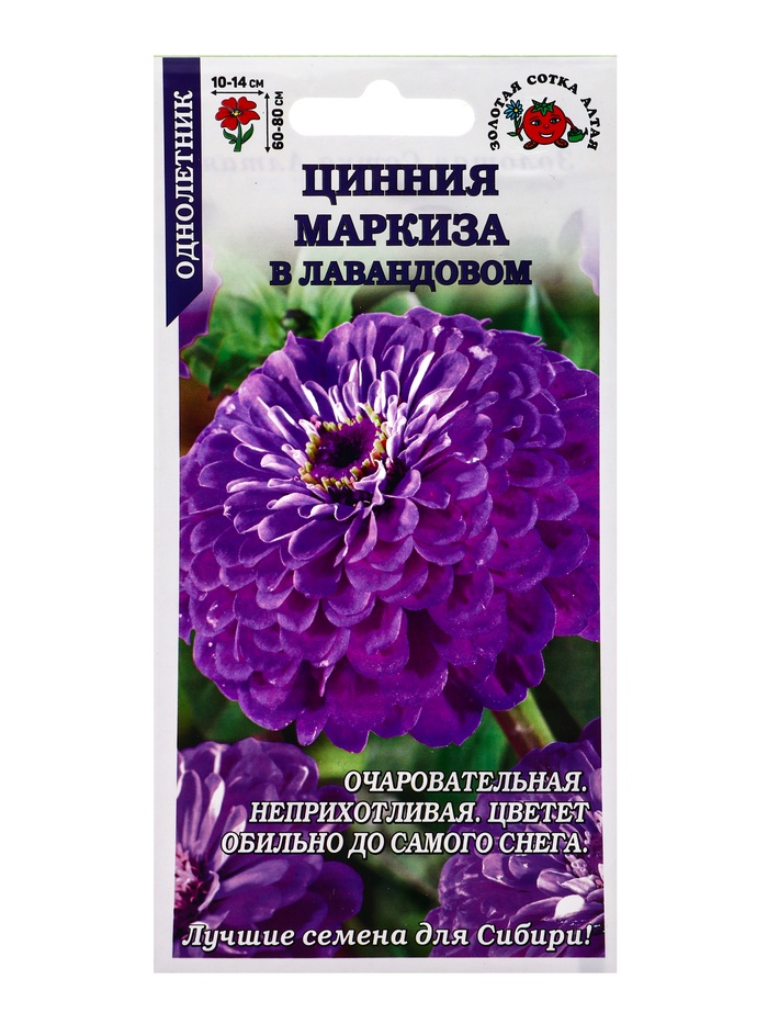 Семена Цинния «Маркиза в Лавандовом», 0.2 г, «Золотая Сотка Алтая» - Фото 1