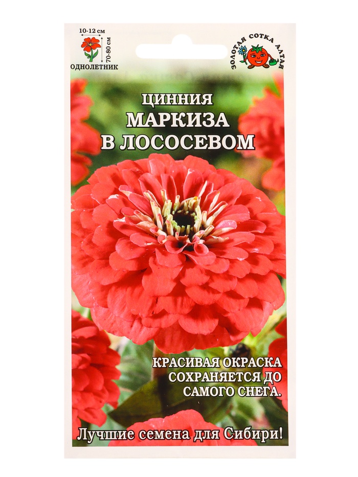 Семена Цинния «Маркиза в Лососевом», 0.2 г, «Золотая Сотка Алтая» - Фото 1