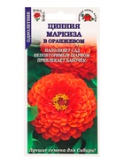 Семена Цинния «Маркиза в Оранжевом», 0.2 г, «Золотая Сотка Алтая» (комплект 3 шт) - фото 60870976