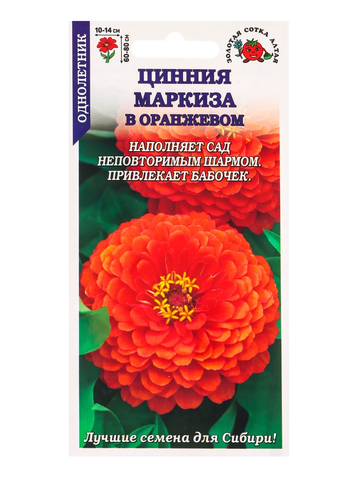 Семена Цинния «Маркиза в Оранжевом», 0.2 г, «Золотая Сотка Алтая» - Фото 1