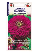 Семена Цинния «Маркиза в Пурпурном», 0.2 г, «Золотая Сотка Алтая» - Фото 1