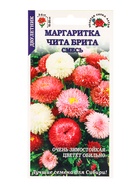 Семена Маргаритка «Чита Брита», смесь, 0.1 г, «Золота Сотка Алтая» (комплект 2 шт) - фото 59848814