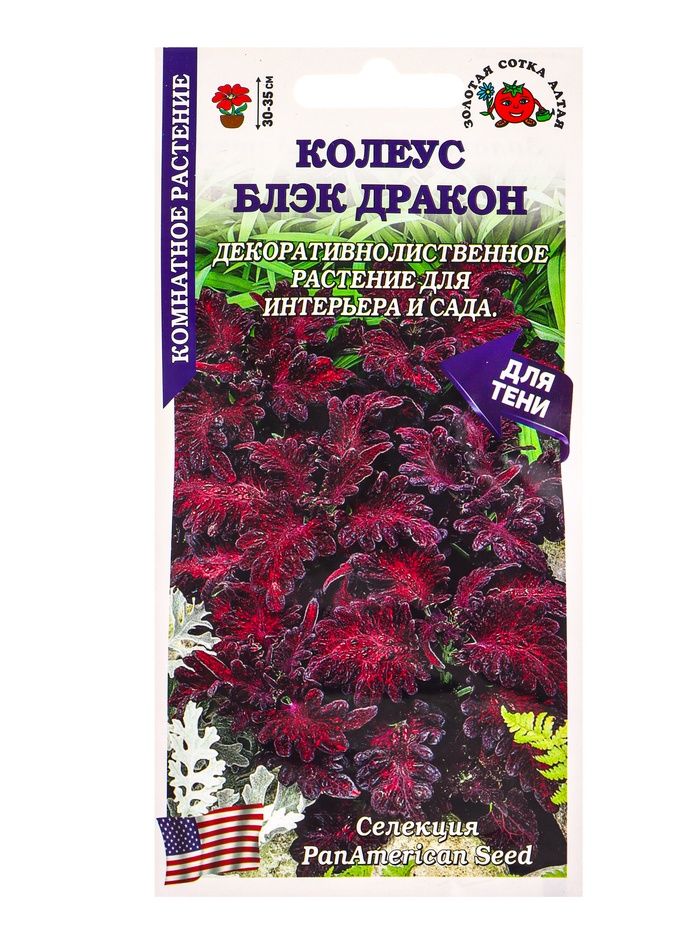 Семена Колеус «Блэк Дракон», 10 шт., комнатное, бордовое, «Золотая Сотка Алтая» - Фото 1