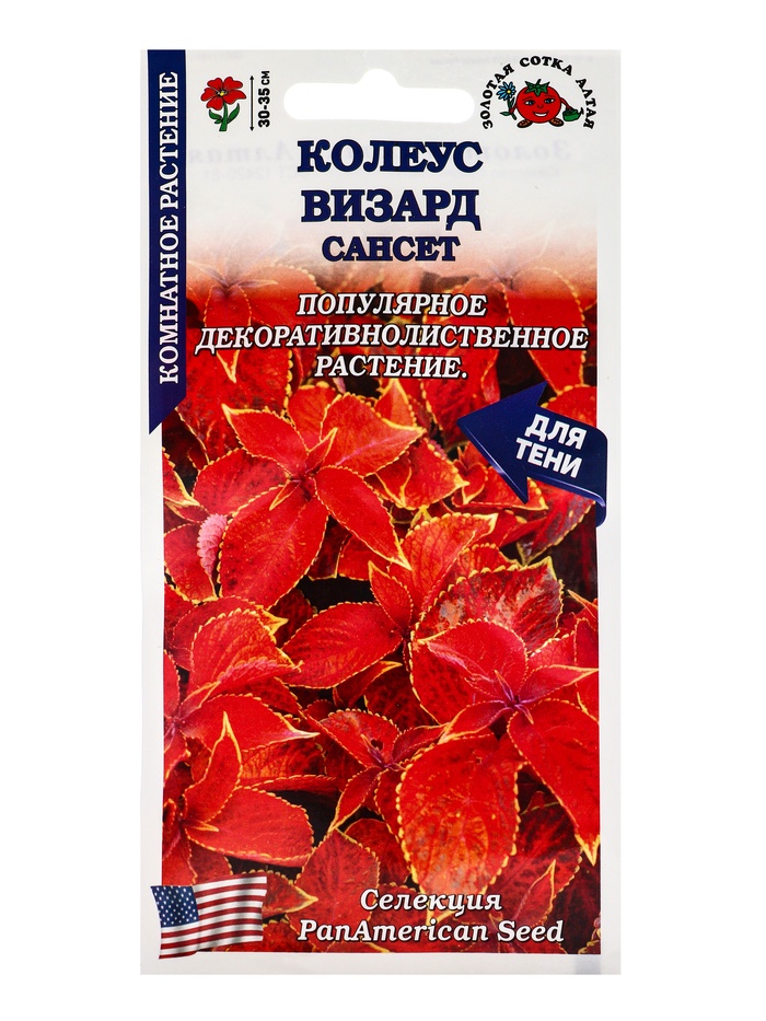 Семена Колеус «Визард Сансет», 10 шт., комнатное, «Золотая Сотка Алтая»