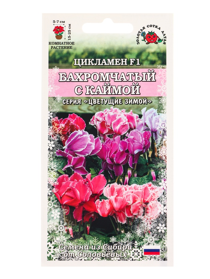 Семена Ком: Цикламен Бахромчатый с каймой /Сотка/ 3 шт/ h-30см d-5см/*1500 - Фото 1