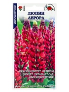 Семена Люпин «Аврора», 0.3 г, красновато-розовый, многолетний, «Золотая Сотка Алтая» - фото 809307699