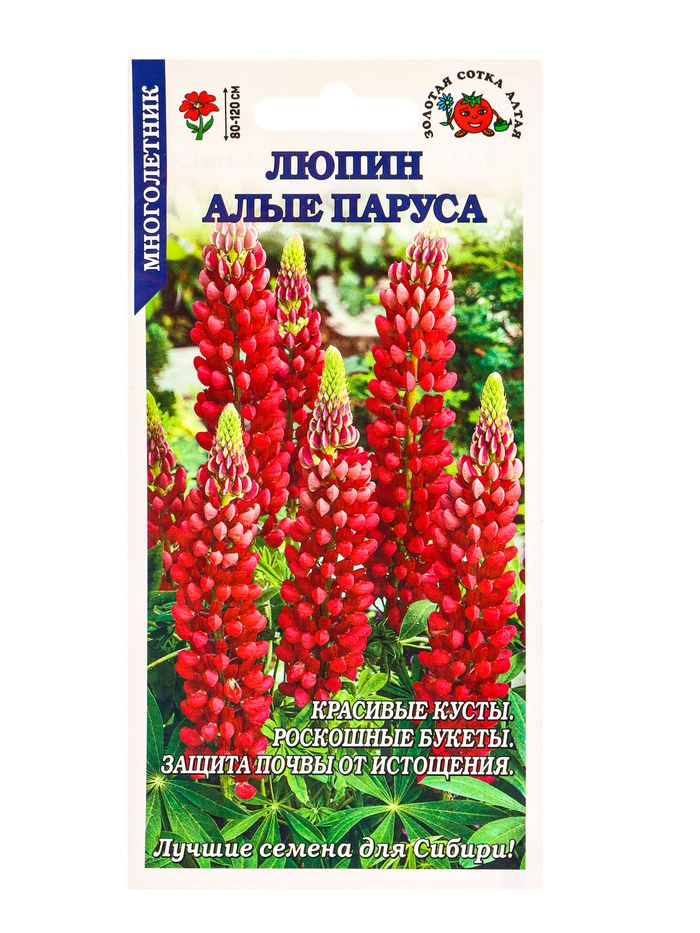 Семена Люпин «Алые Паруса», 0.3 г, «Золотая Сотка Алтая» - Фото 1