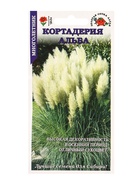 Семена Кортадерия Альба /Сотка/ 25шт/ h-1,8-2м/*500 - Фото 1