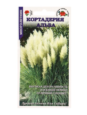 Семена Кортадерия Альба /Сотка/ 25шт/ h-1,8-2м/*500 (комплект 2 шт)