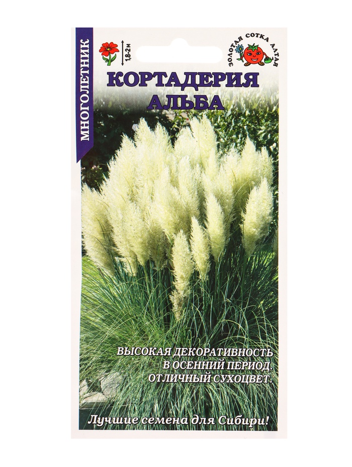 Семена Кортадерия Альба /Сотка/ 25шт/ h-1,8-2м/*500 - Фото 1