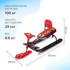 УЦЕНКА Снегокат «Тимка спорт 4-1 Граффити», со спинкой и ремнём безопасности, ТС4-1/GR Nika Kids - Фото 2