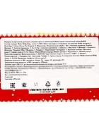 Сладкий новогодний подарок «Зимняя трель», детский, 700 г - фото 60173291