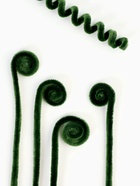 Синельная проволока, набор 100 шт, размер 1 шт 30х0,8 см, цвет зелёный - Фото 6