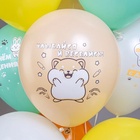 Воздушные шары латексные 12" «СДР! Милые животные», 25 шт. МИКС 10946235