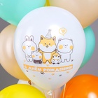 Воздушные шары латексные 12" «СДР! Милые животные», 25 шт. МИКС 10946235