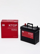 Аккумуляторная батарея 6-QW-45(430)-L - Фото 5