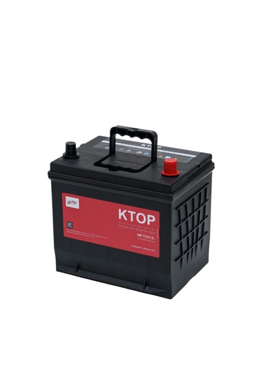 Аккумуляторная батарея 6-QW-65(560)-L