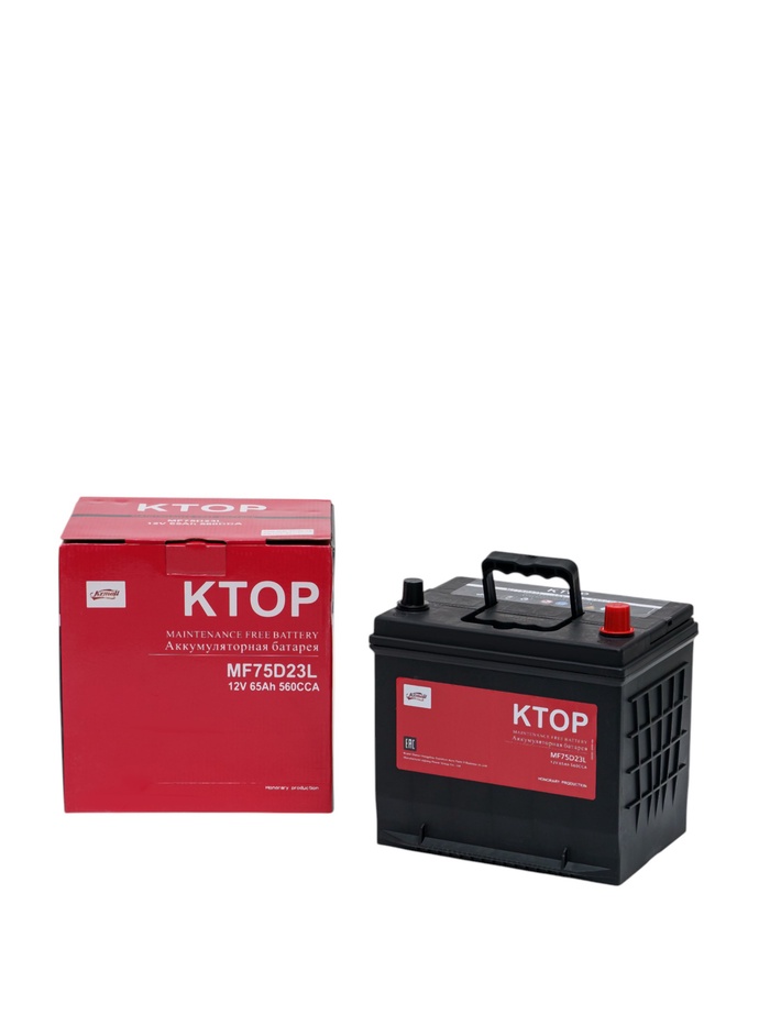 Аккумуляторная батарея 6-QW-65(560)-L - фото 51853173