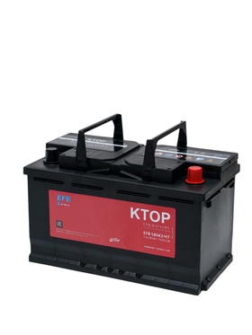 Аккумуляторная батарея 6-QTPE-80(750)-LN4